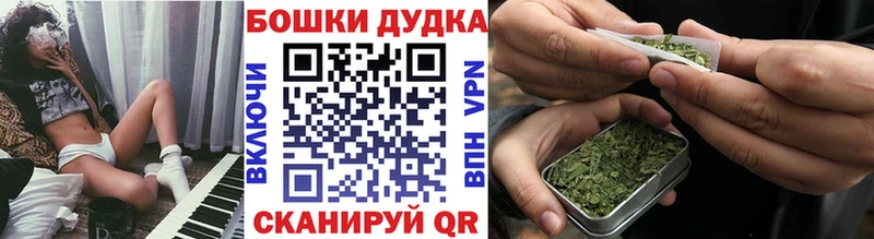 Бошки Шишки THC 21%  мега ссылки  Шенкурск 